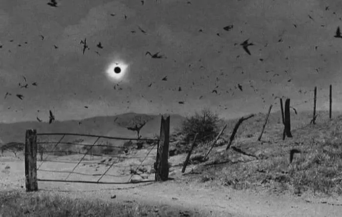 En 1991, el fotógrafo mexicano Antonio Turok capturó esta imagen del eclipse solar desde Chiapas, México.