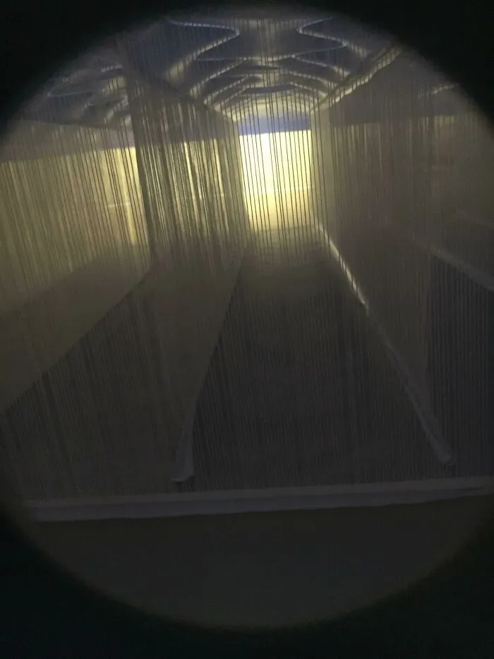 View inside a dark, narrow space with thin vertical lines, showing the insides of things we rarely see.