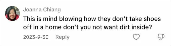 Comment about not taking shoes off indoors, illustrating Canada roasted America so accurately in a humorous social media post.