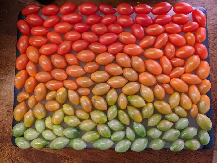 I Arranged My Cherry Tomatoes