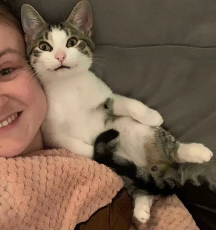 Mi gato sonrió para una foto