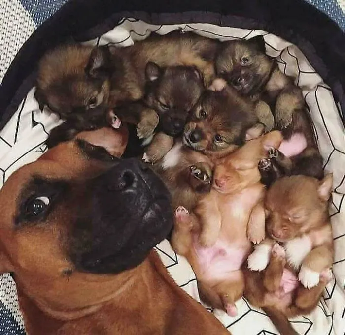 Selfie con los niños. ¡Demasiado adorable!