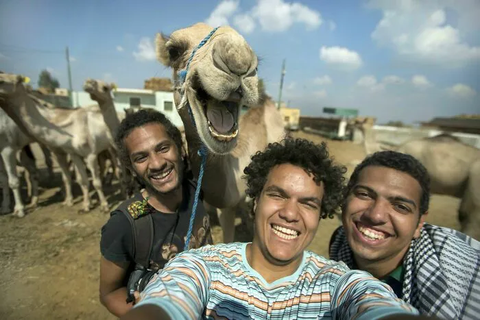 Selfie With A Laughing Camel