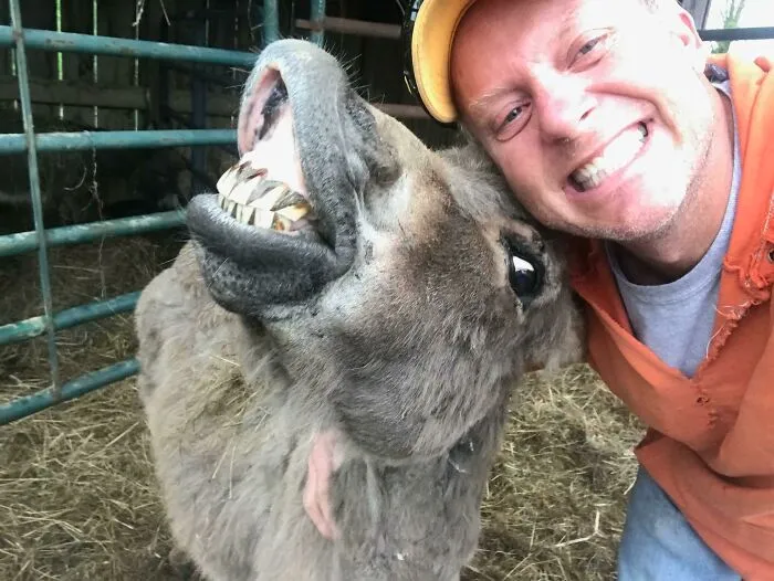 Mi papá acaba de enviarme esta foto de él junto a uno de sus burros enanos