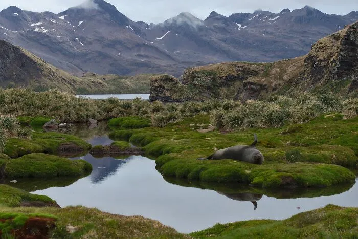 South Georgia Island