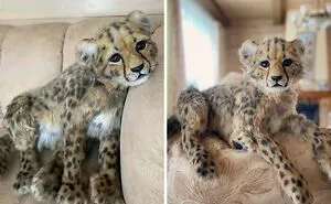 50 Times People Showed Off Their Awesome Craft Projects Online And Made Everyone Jealous