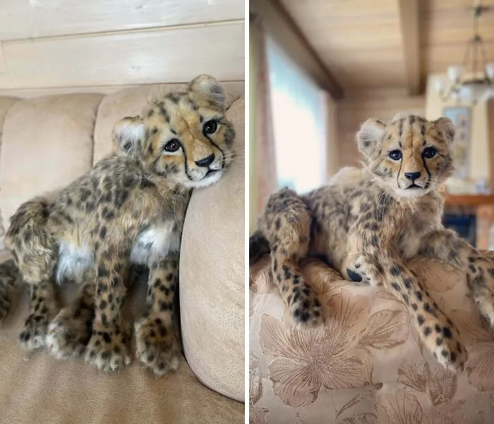 And It's A Girl! My New Creation Is Baby Cheetah