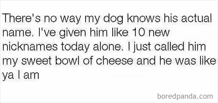 35 Funny Memes For Those Who Are In Need Of Their Daily Dose Of Laughter