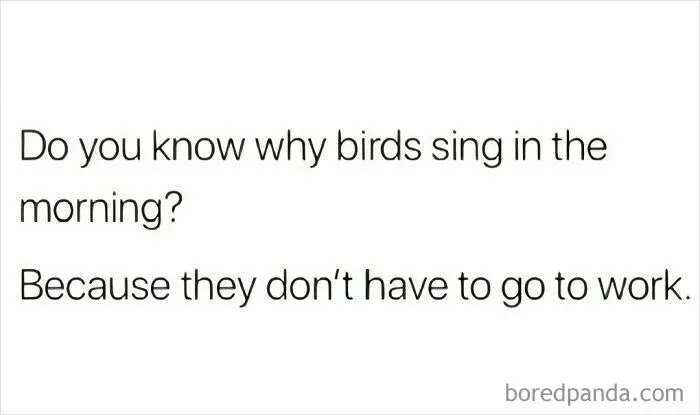 35 Funny Memes For Those Who Are In Need Of Their Daily Dose Of Laughter