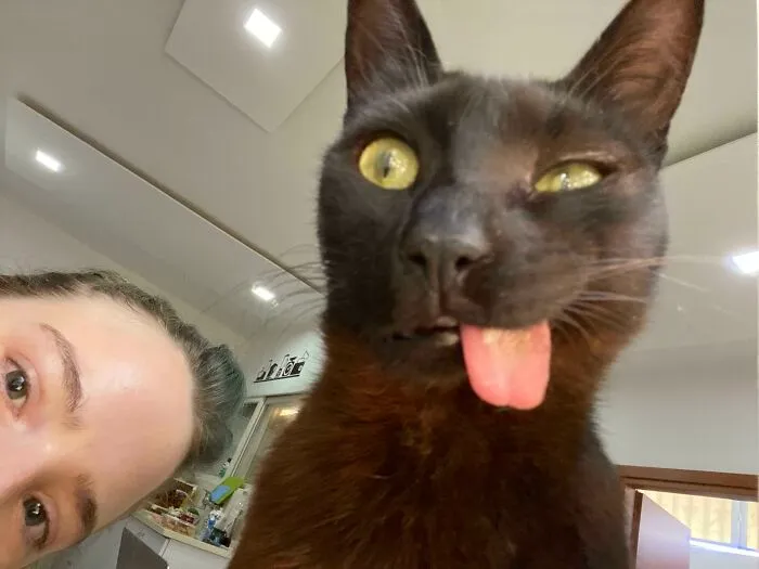 Arruiné su selfie