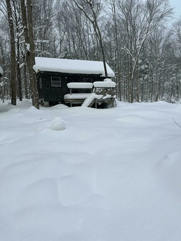 Snow-covered cozy off-grid cabin surrounded by bare trees in a quiet winter forest setting.