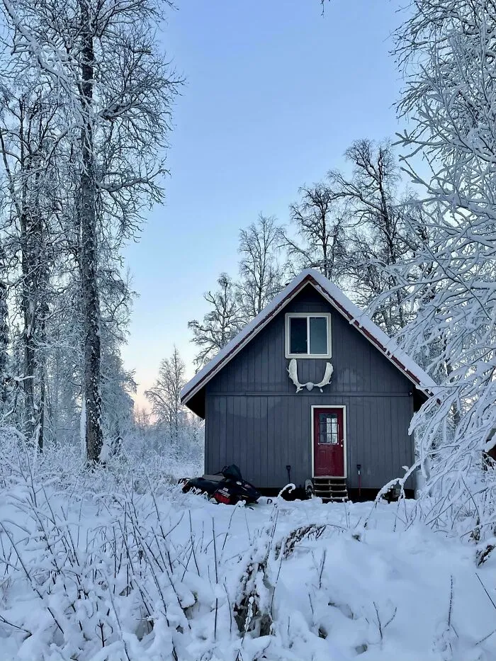 Cozy off-grid cabin with red door surrounded by snow-covered trees in a peaceful winter forest setting.