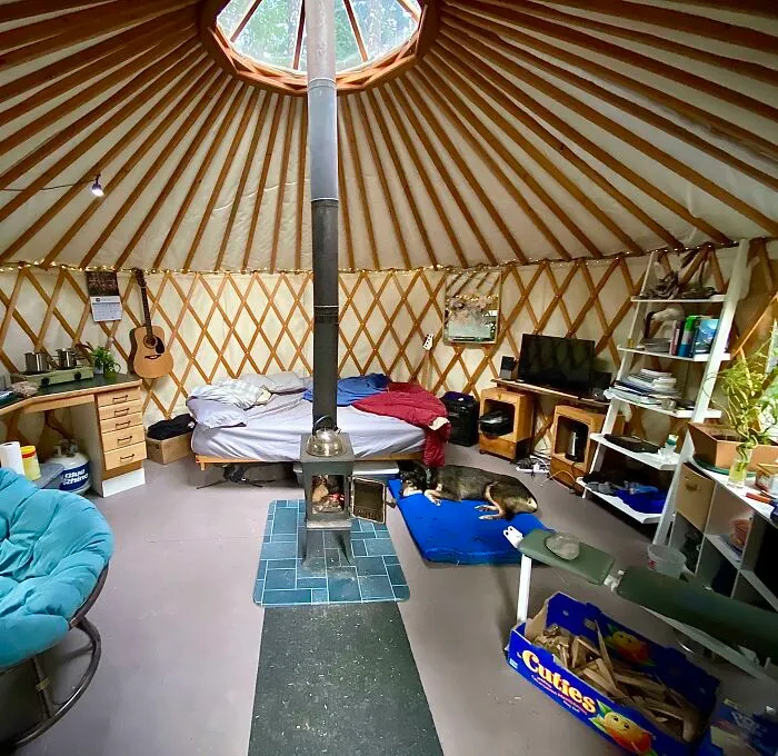Cozy off-grid cabin interior with wood stove, bed, dog resting, guitar, and organized shelves in a round yurt structure.