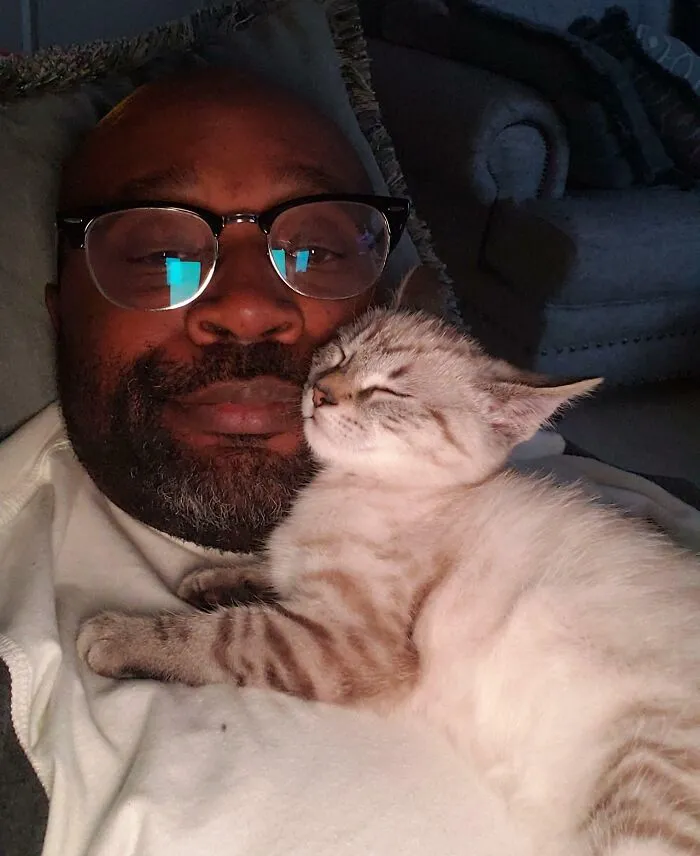 Personal Space? Nope. I'm A Cat Pillow 