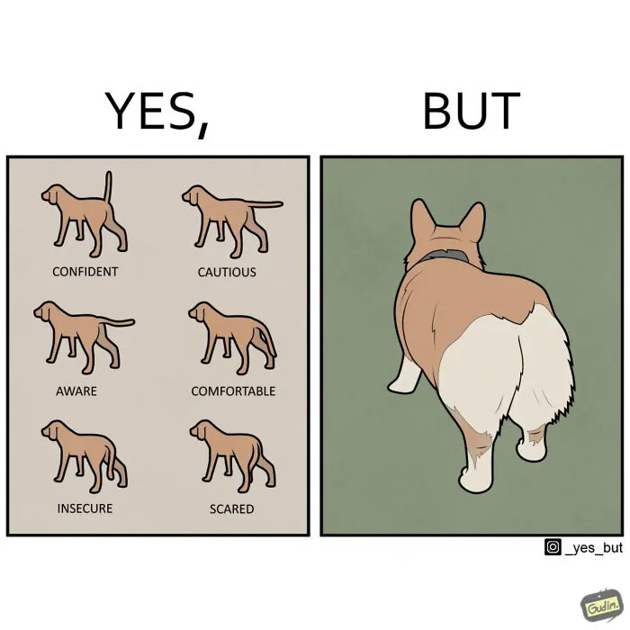 40 Funny ‘Yes, But’ Comics That Nail Modern Life’s Strangeness (New Pics)