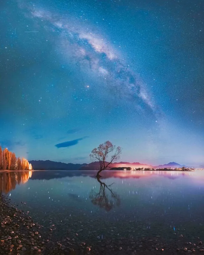 The Infamous Wanaka Tree Under A Winter Sky