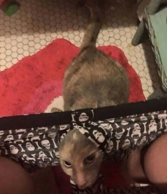 When You Leave The Door Open