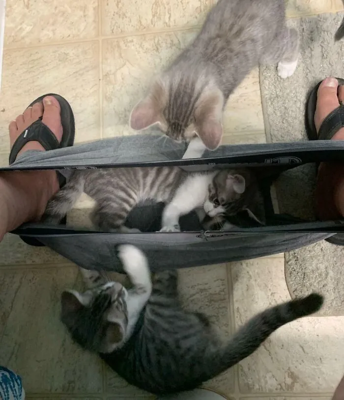 Privacy?