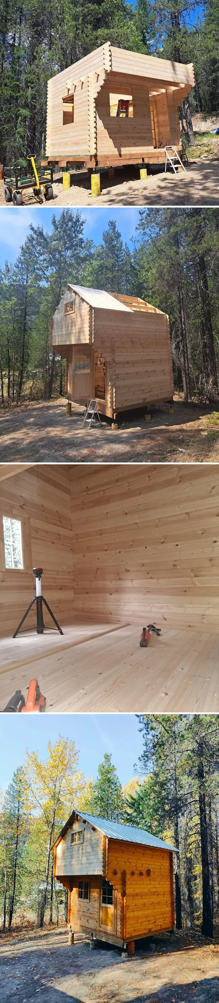 Cozy off-grid cabin in forest setting under construction with wooden interior and metal roof surrounded by trees.