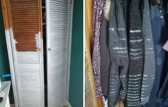 Las renovaciones durante el confinamiento parecían muy fáciles en Internet