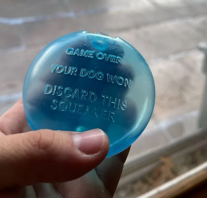 This Message Stamped On The Squeaker Inside The Stuffed Animal My Dog Just Destroyed