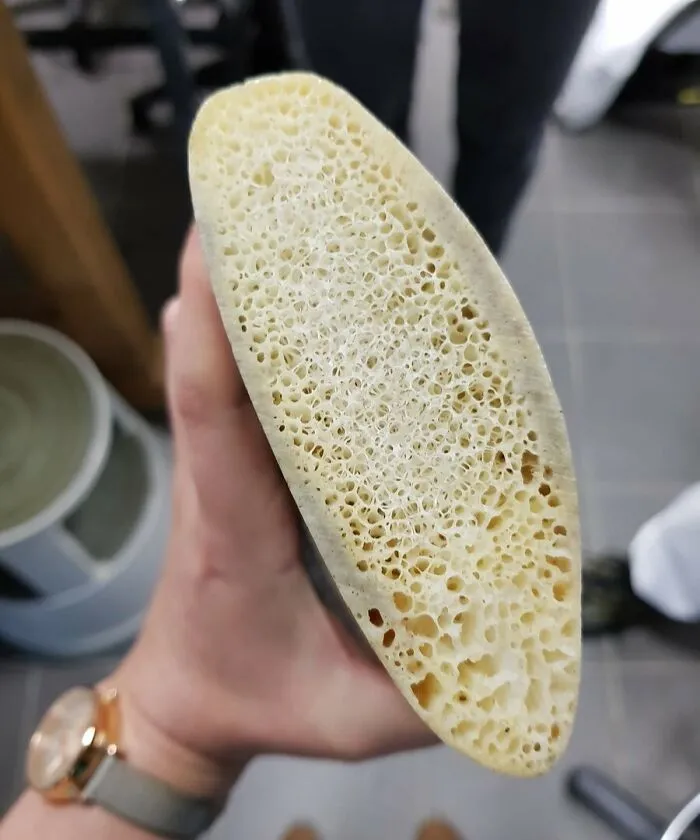 Cross Section Of A Whale Rib