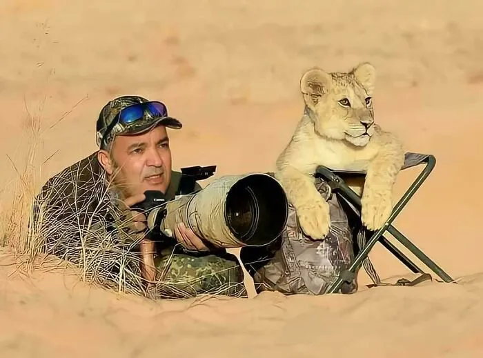 El fotógrafo acompañado por un leoncito que actúa como su aprendiz. Créditos: Djamel Hadj Aissa