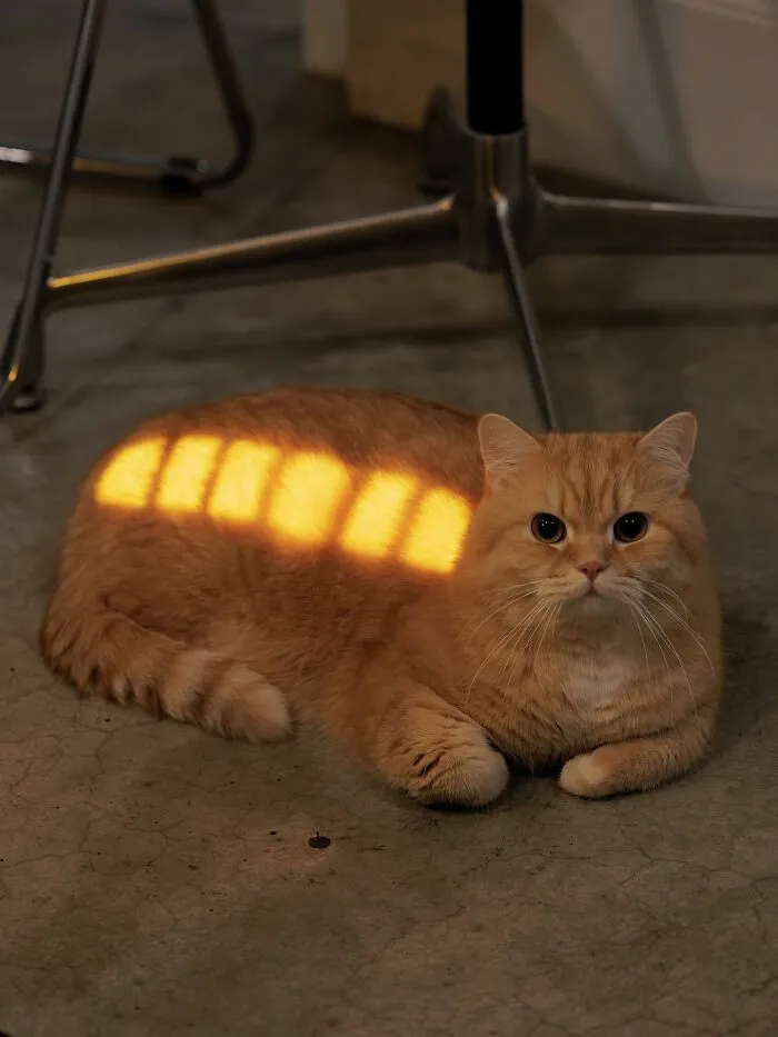 He's Fully Charged