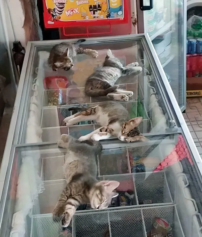 Hace bastante calor en Turquía