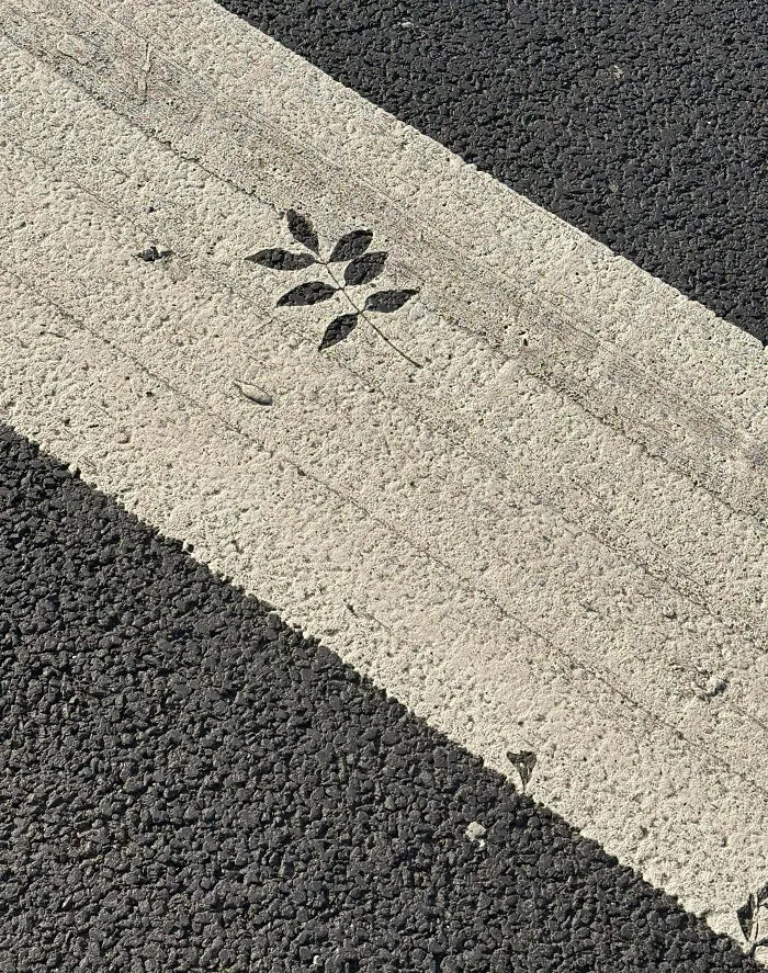Fallo en el trabajo convertido en arte