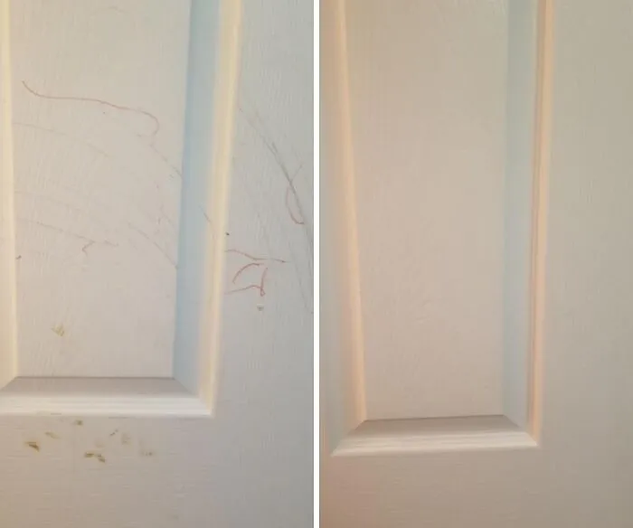 The Main Character In The Story Of "How I Got My Full Security Deposit Back" Is Always A Pack Of <a Style="Display:inline;" Href="Https://Www.amazon.com/Stk-Extra-Thick-Cleaning-Kitchen-Bathroom-Furniture-Leather-Car-Steel/Dp/B01cytw58y?ie=utf8&th=1&linkcode=ll1&tag=bpbuffalo-20&linkid=e6cc7524412500c3a4a84a36c5ee06f1&language=en_us&ref_=as_li_ss_tl" Target="_blank"> <span Style="Font: Inherit; Color: #d74b1f;"> Cleaning Eraser Sponges </Span>