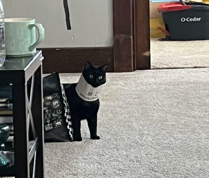 Yarn Crimes Have Been Committed