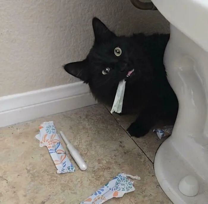 She Ate The Tampons 🤦🏻‍♀️