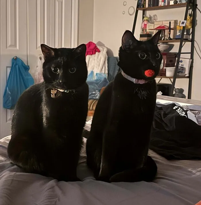 All Three Of My Girls Belong Here