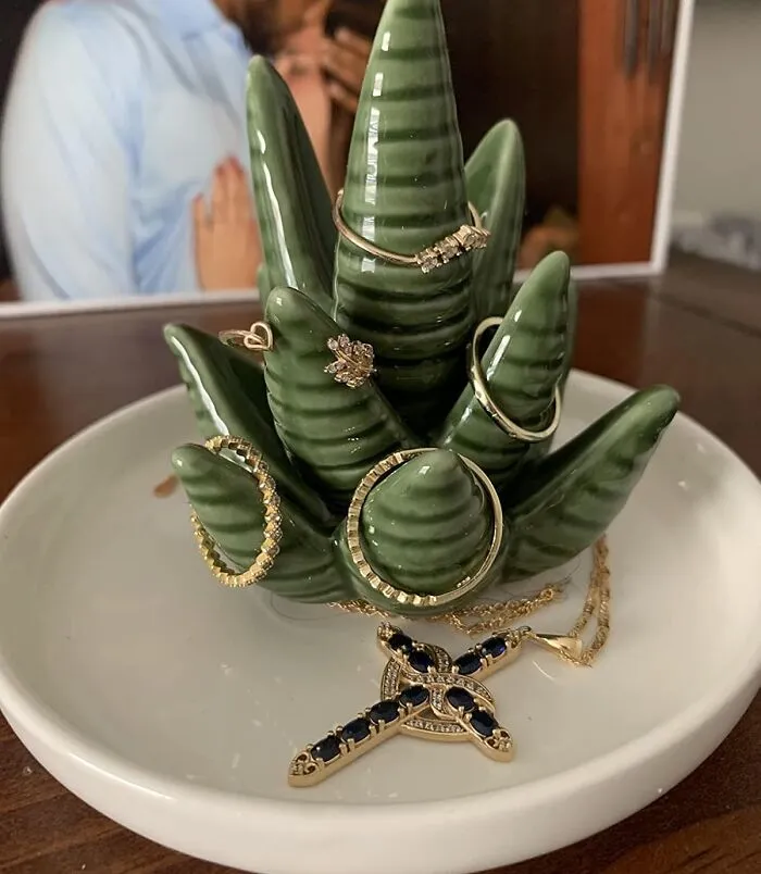  Your Jewelry Is About To Say "Aloe, Is It Me You're Looking For?" To This <a Style="Display:inline;" Href="Https://Www.amazon.com/Pudding-Cabin-Earrings-Organizer-Christmas/Dp/B087365w2y?ie=utf8&th=1&linkcode=ll1&tag=bptoucan-20&linkid=6d7a1d64bf6255d3ebb9fe76815f1ebc&language=en_us&ref_=as_li_ss_tl" Target="_blank">  <span Style="Font: Inherit; Color: #d74b1f;"> Aloe Ring Holder </Span>