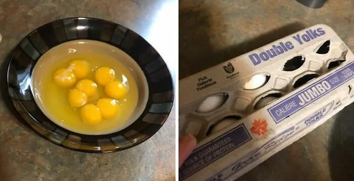 This Morning I Cracked An Egg