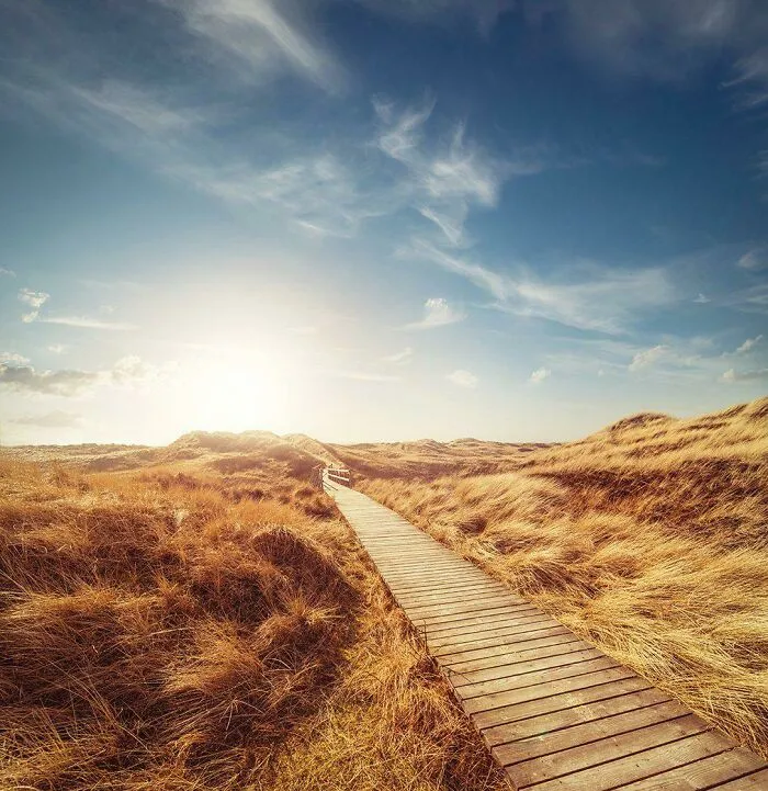 Stock Photo From A Textbook Cover. Probably Too General A Landscape, But Any Ideas?