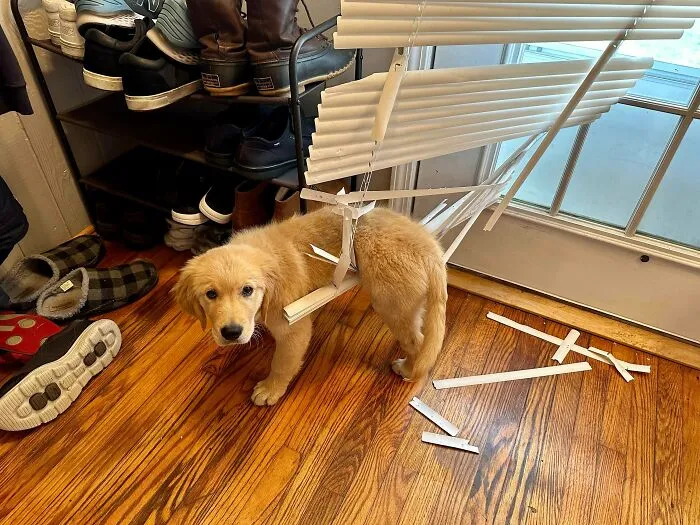 I Was Outside Taking The Trash Out For 3 Minutes Tops. Bard Was Apparently Busy While I Was Out