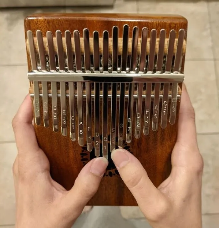 The Perfect Gift For The Person Who Is Both Musically Inclined And Deeply Committed To Not Annoying Their Roommates Is This <a Style="Display:inline;" Href="Https://Www.amazon.com/Kalimba-Portable-Finger-Adults-Beginners/Dp/B07q38fwfj?ie=utf8&th=1&linkcode=ll1&tag=bpcobra-20&linkid=9cc34b9302b465b3e20edf7930125214&language=en_us&ref_=as_li_ss_tl" Target="_blank">  <span Style="Font: Inherit; Color: #d74b1f;"> Kalimba Thumb Piano </Span>