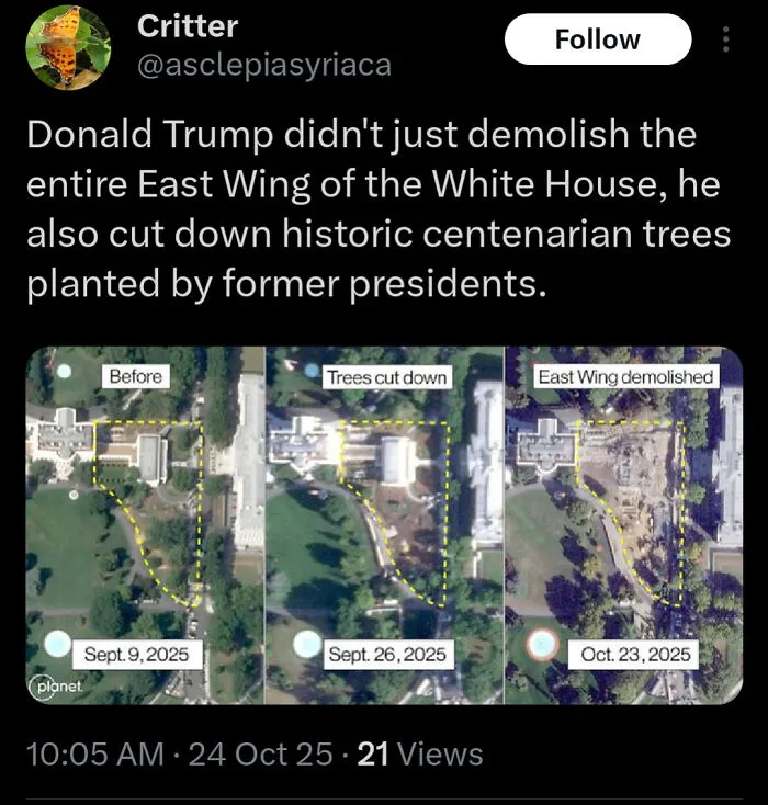 Satellite images showing a failed attempt at demolition and tree removal with historic trees cut down and East Wing demolished.