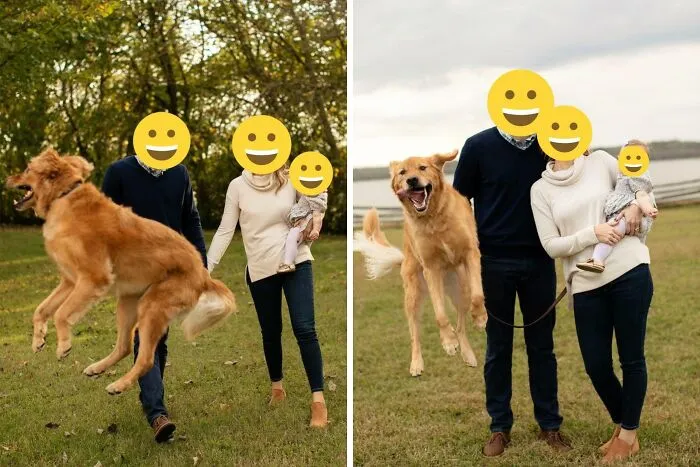 Dijeron que el perro salta cuando está emocionado... Así que, naturalmente, estaba pensando que te salta encima. No, este perro literalmente salta.