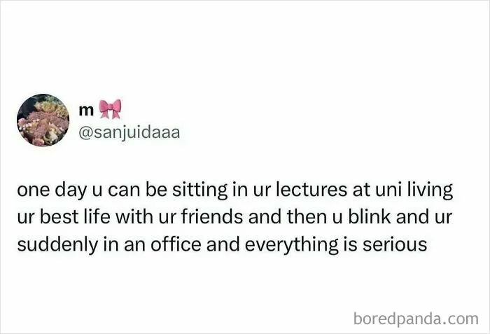50 Student Memes So Hilariously Accurate They Deserve Extra Credit
