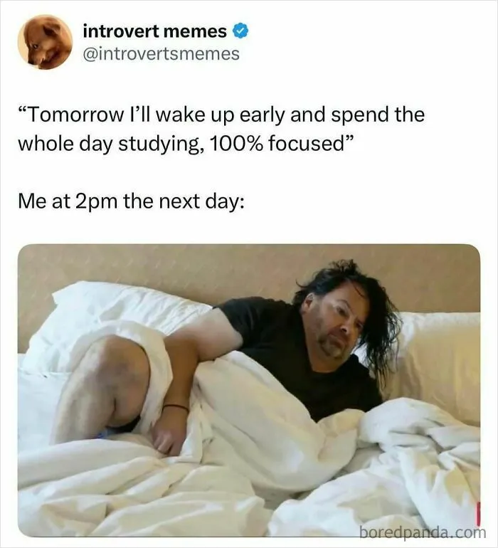 50 Student Memes So Hilariously Accurate They Deserve Extra Credit