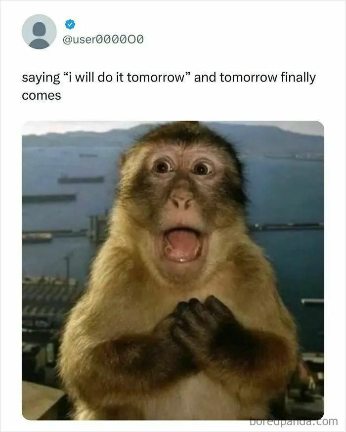 50 Student Memes So Hilariously Accurate They Deserve Extra Credit