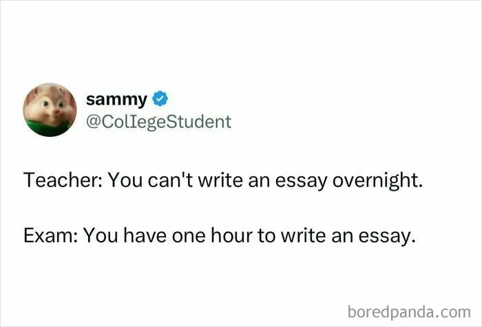 50 Student Memes So Hilariously Accurate They Deserve Extra Credit