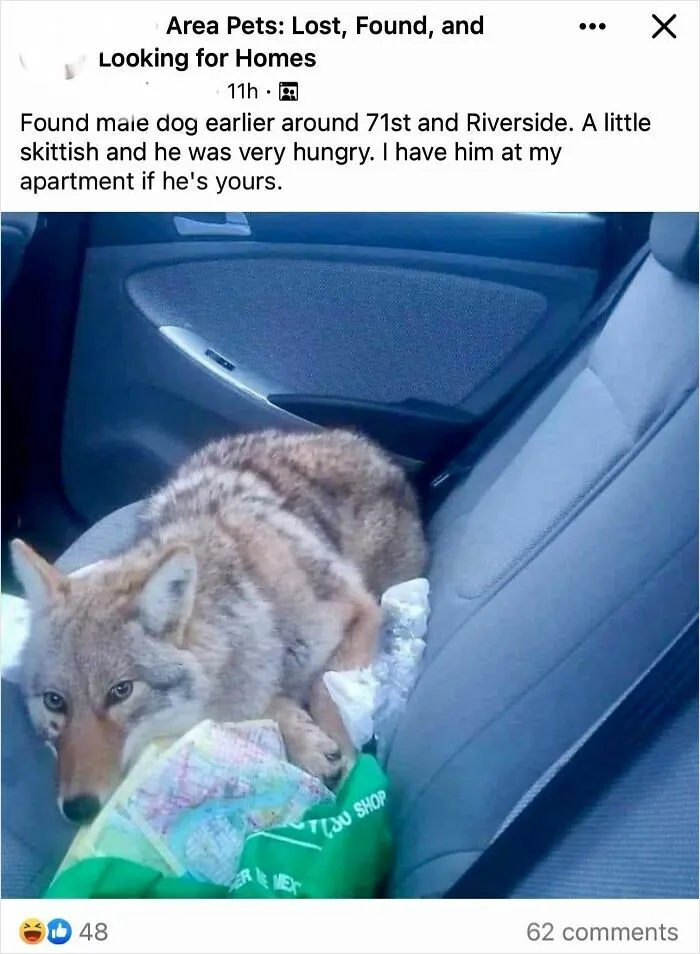 I Don’t Think That’s A Pet, You Shouldn’t Invite It Into Your Car