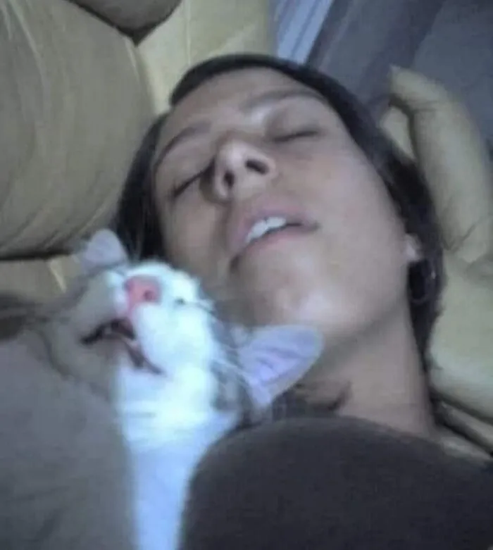 40 Pictures Of Animals Who Woke Up And Chose Nonsense