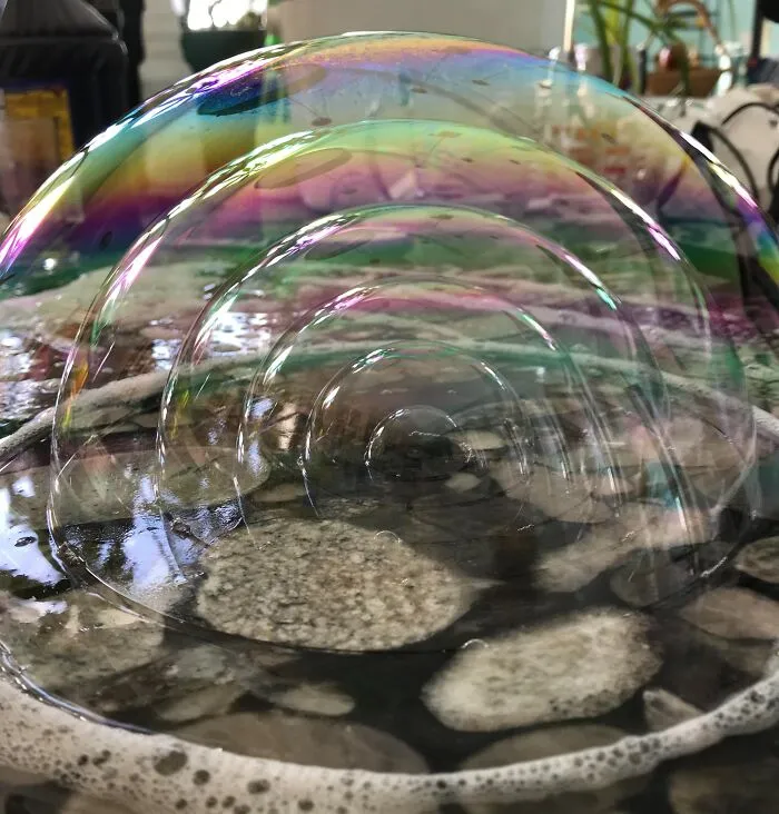 Most Classes Suck, But Here, I Blew 6 Bubbles Inside Each Other For Biology