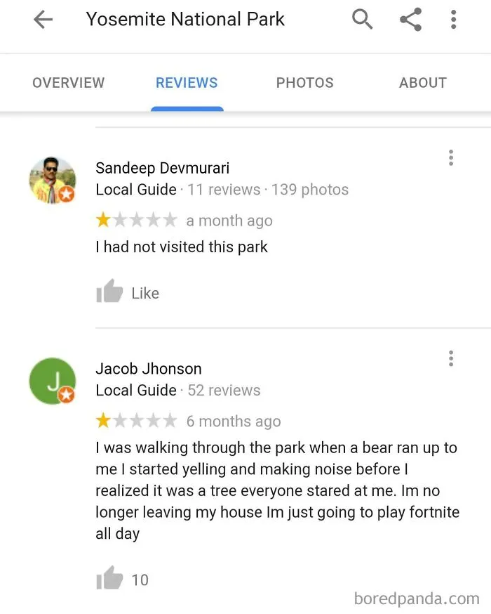 When The Bears Of Yosemite Attack