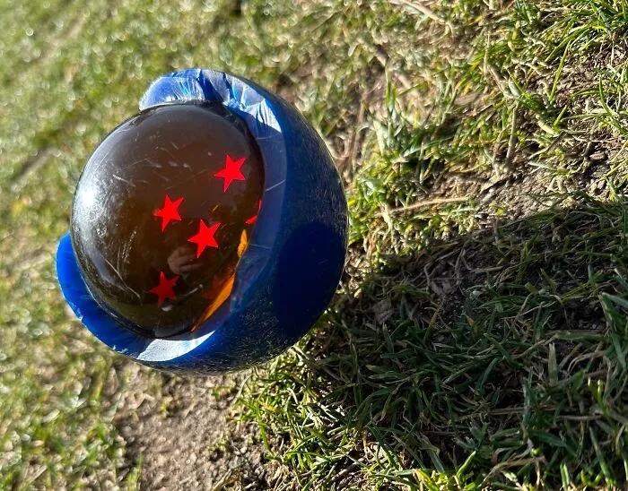 Close-up of an interesting picture showing the inside of a Dragon Ball with four stars embedded in a blue shell on grass.